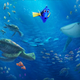Illustration for article titled Everything You Ever Wanted to Know About the Making of iFinding Dory/i